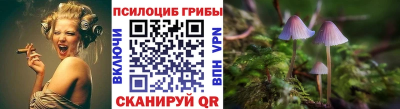Псилоцибиновые грибы GOLDEN TEACHER  Сычёвка 